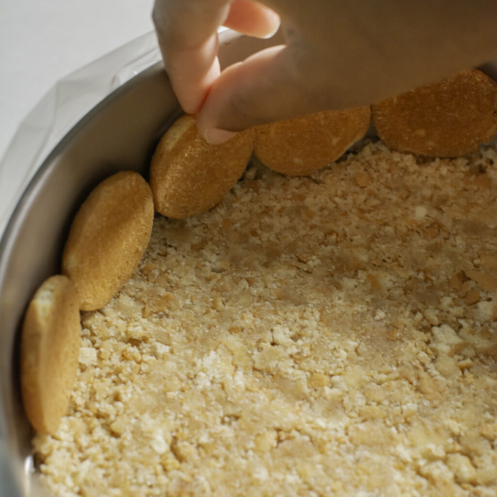 springform pan being lined with Nilla wafers for banana pudding cheesecake
