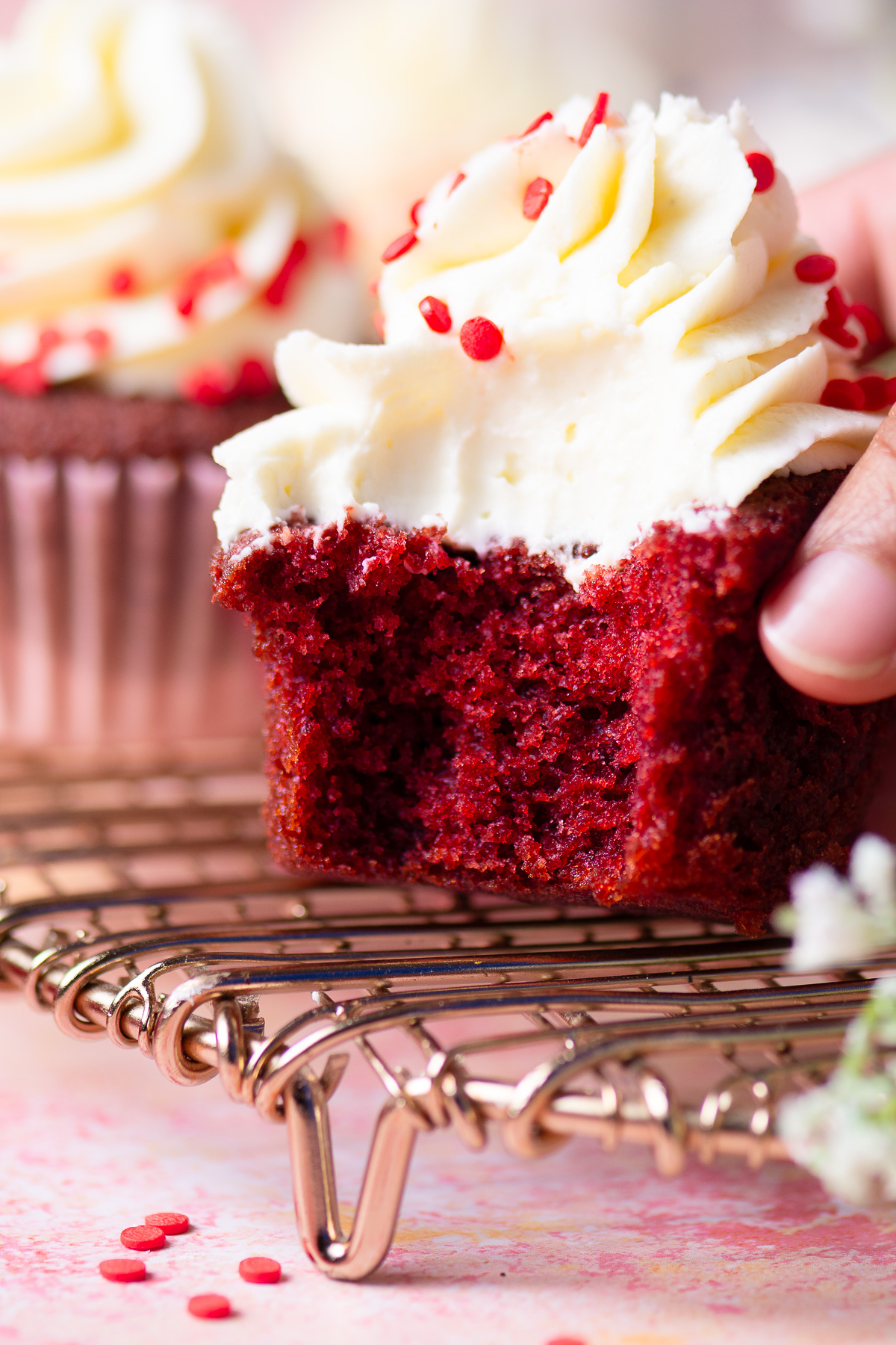 bitten red velvet cupcake with cream cheese frosting