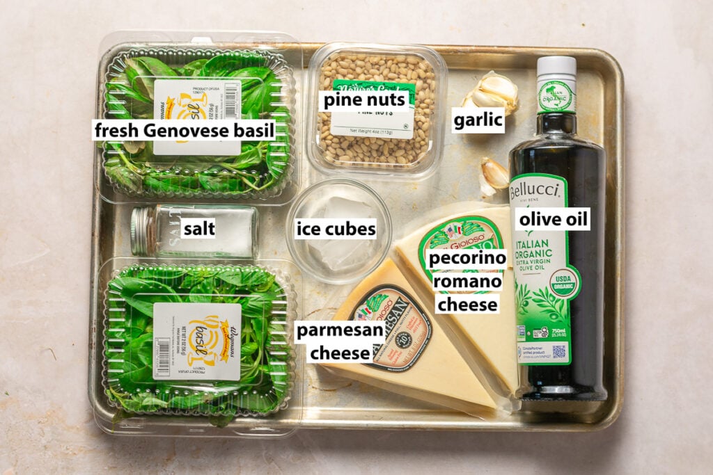 ingredients for classic basil pesto - basil, pine nuts, garlic, olive oil, parmesan cheese, pecorino romano cheese & ice cubes