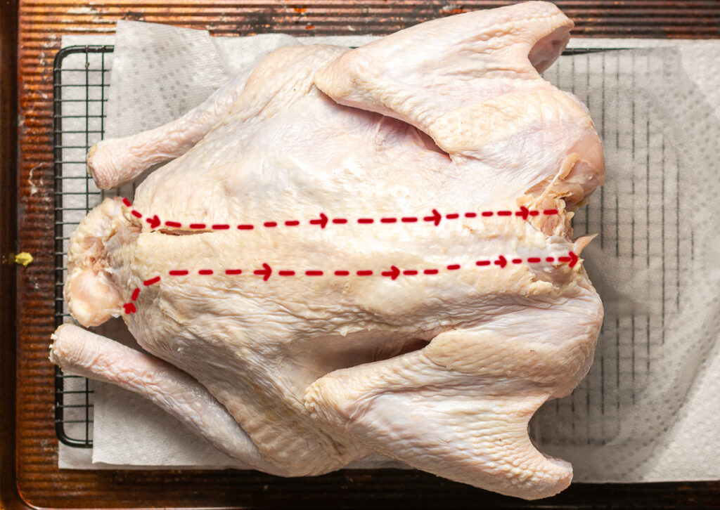 turkey breast side down with arrows along spine showing where to cut to spatchcock