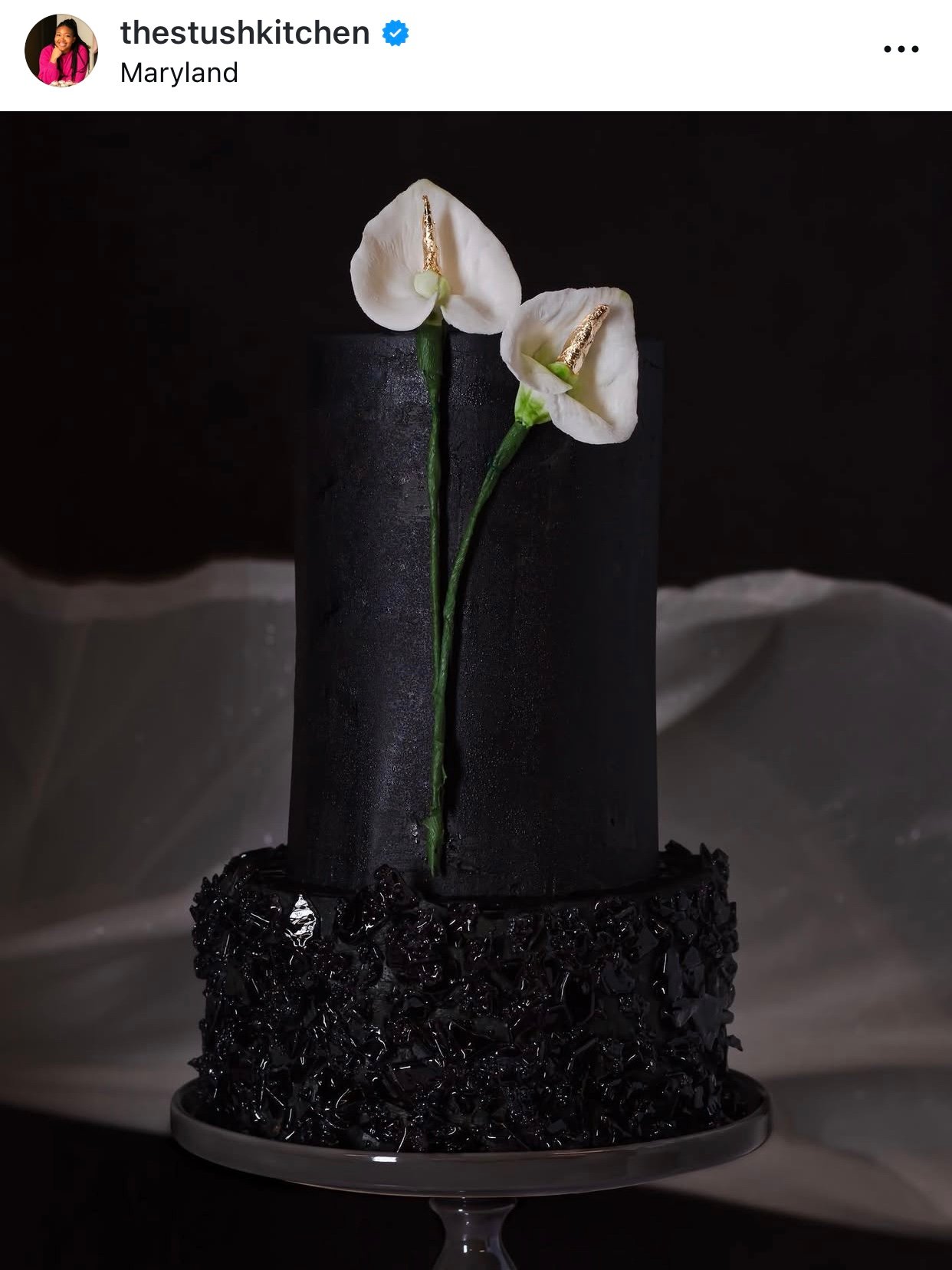 black tiered cake from The Stush Kitchen instagram