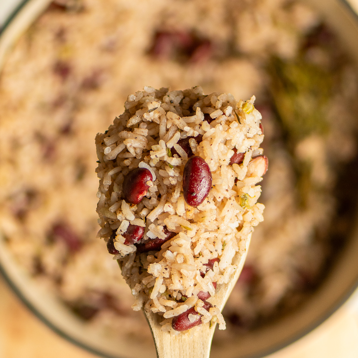 spoonful of Jamaican rice and peas.